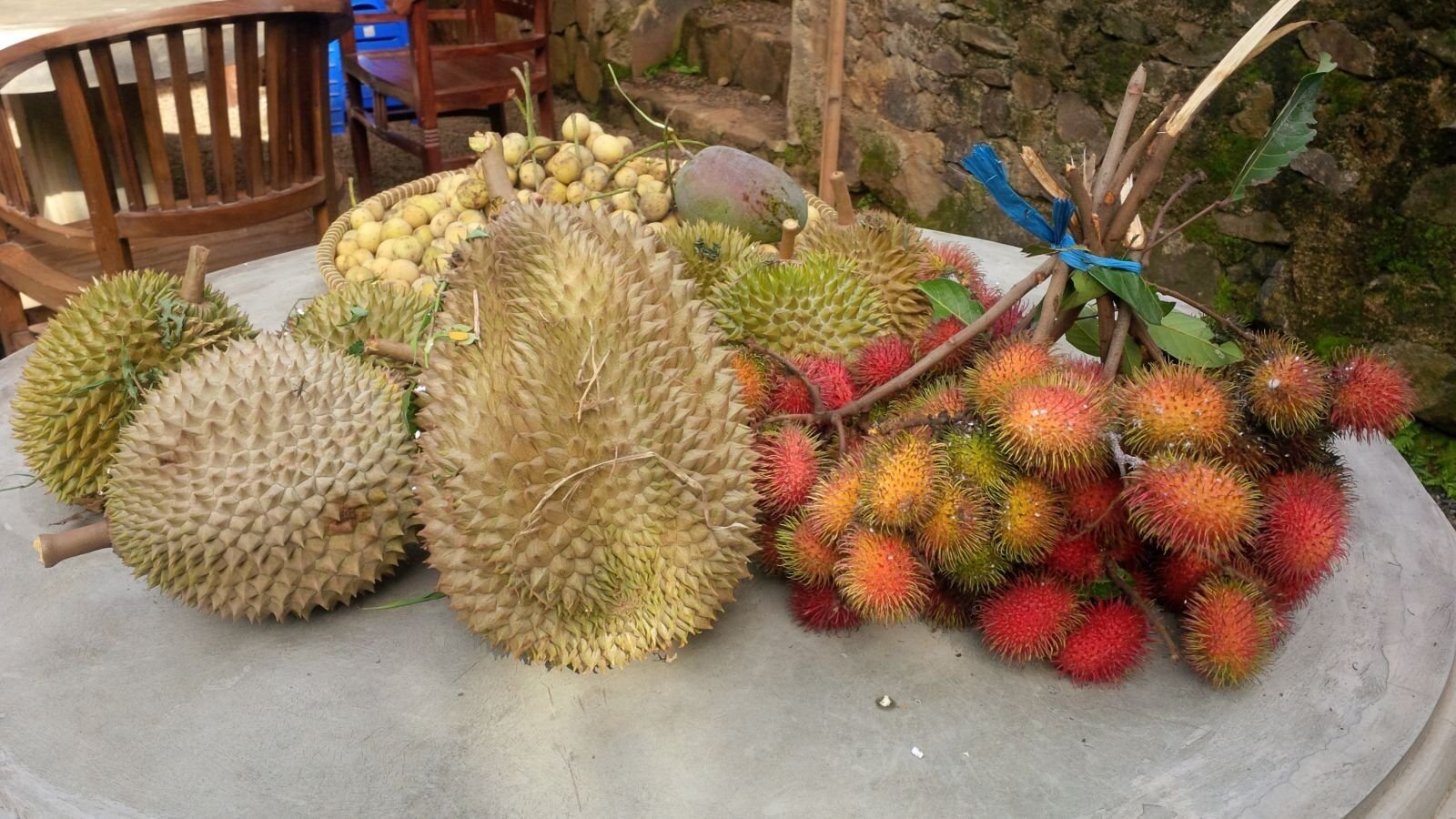 Durian and rambutan harvest